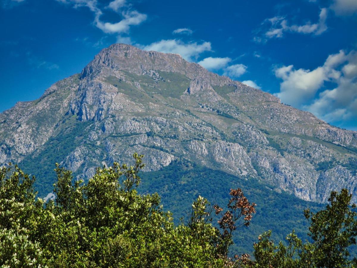 Apartmán L'Ortensia Pigna Exteriér fotografie